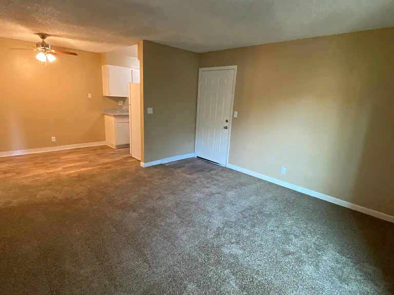 Magnolia Place — Photo 35