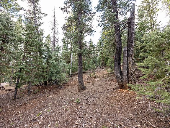 5th image of 955 E Bonanza Rd