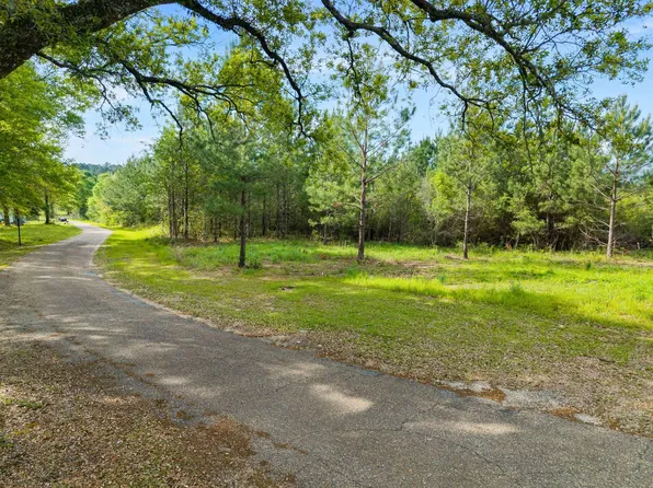 0 Horne Ln, Sumrall, MS 39482