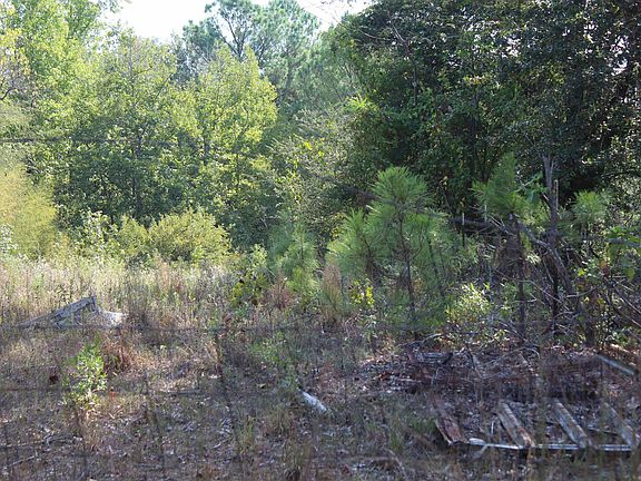 3rd image of 1532 Phillips Springs Rd