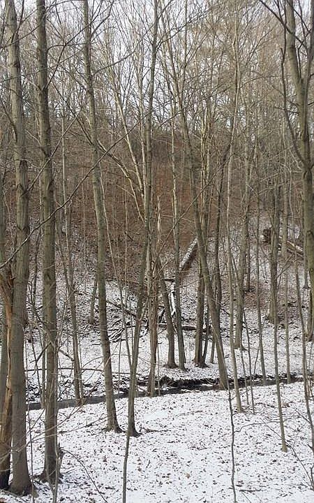 1st image of 354 Edelweiss Ln