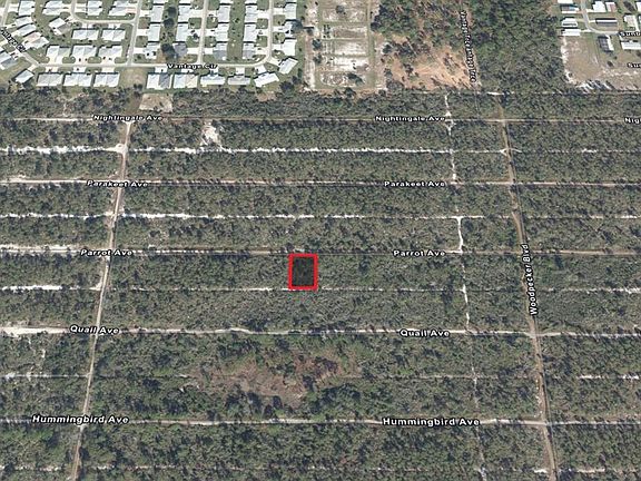 3rd image of 533 Parrot Ave
