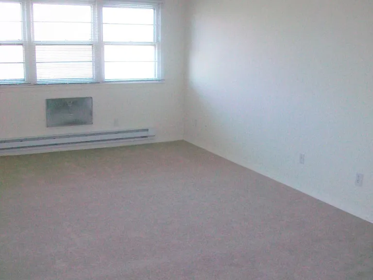 323 Center St — Photo 10