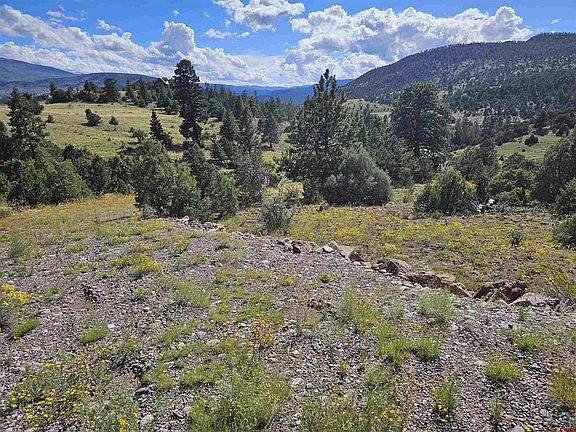 4th image of 3527 Bear Creek Circle