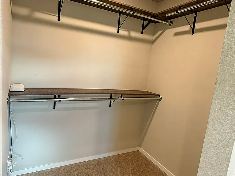 Primary Closet