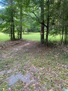 0 Evergreen Rd Lot 1, Springville, AL, 35146