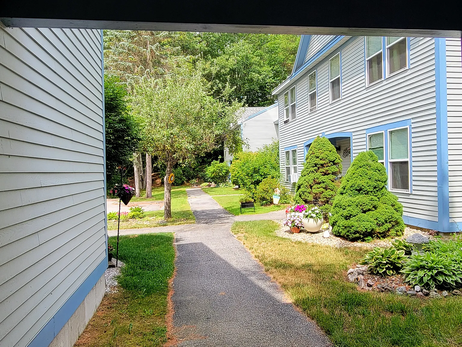 2 bed, 1000 sqft, $1,800 — Photo 3