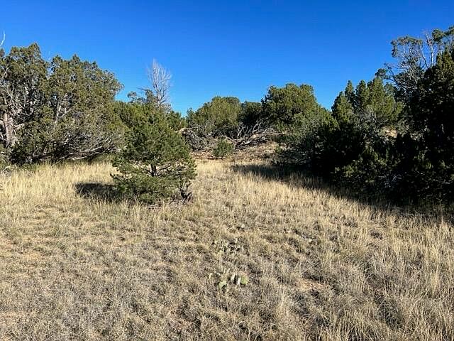 1st image of 668 Rio Cucharas Chase #2-337-207