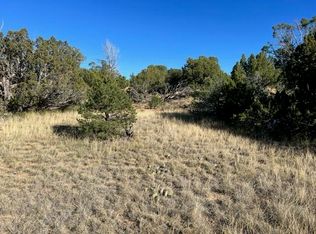 668 Rio Cucharas Chase #2-337-207, Walsenburg, CO 81089