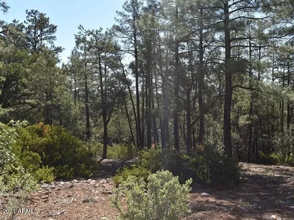 1675 S Pleasant View Dr, Show Low, AZ 85901