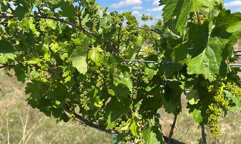 809 W Coyote Trl, Richland Springs, TX 76871 MLS 22185729 Zillow