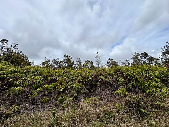 4th image of Volcano Rd Lot 1341