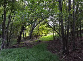 2 Hanging Rock Forest Rd TRACT E-10.8, Danbury, NC 27016