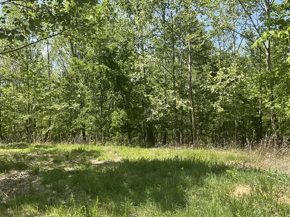 98 Saddleback Dr, Dover, TN 37058