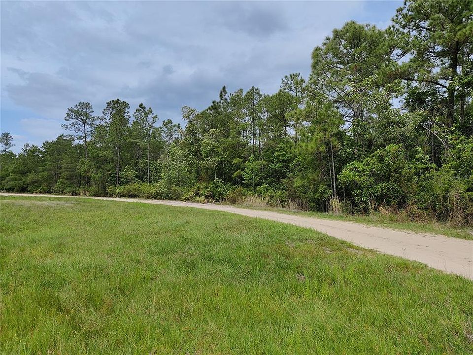 Buck Run Dr, Paisley, FL 32767 MLS O6019394 Zillow