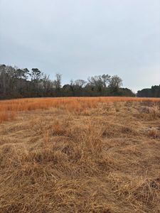 3959 Cadley Road, Norwood, GA, 30821