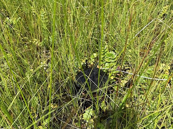 2nd image of 00 County Road South 6