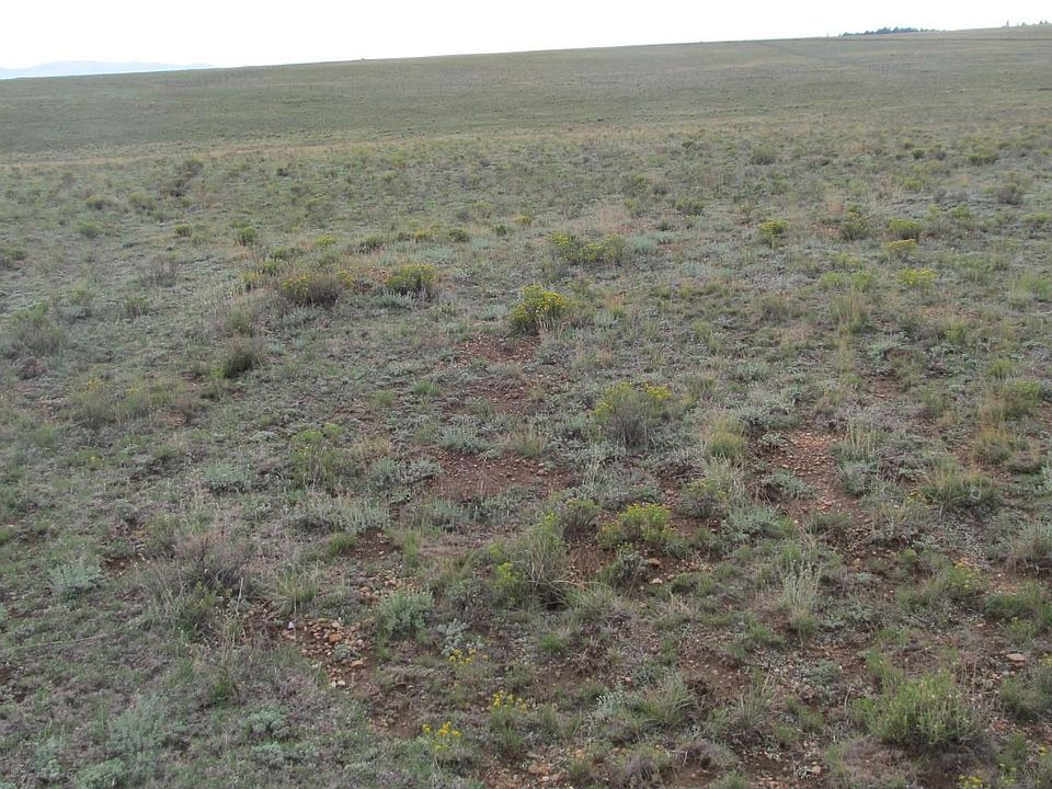 2nd image of Gray Horse Trl