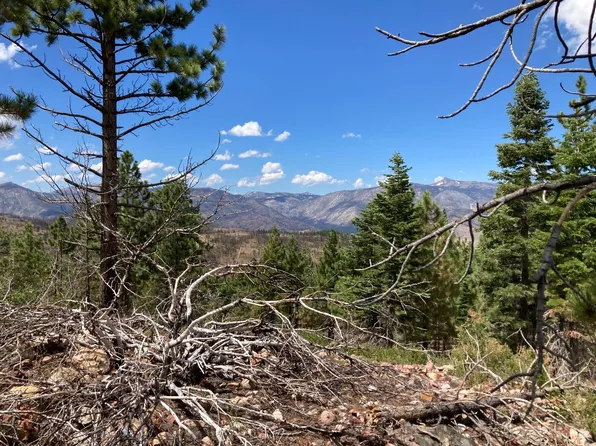Poor Boy Creek Rd, Markleeville, CA 96120