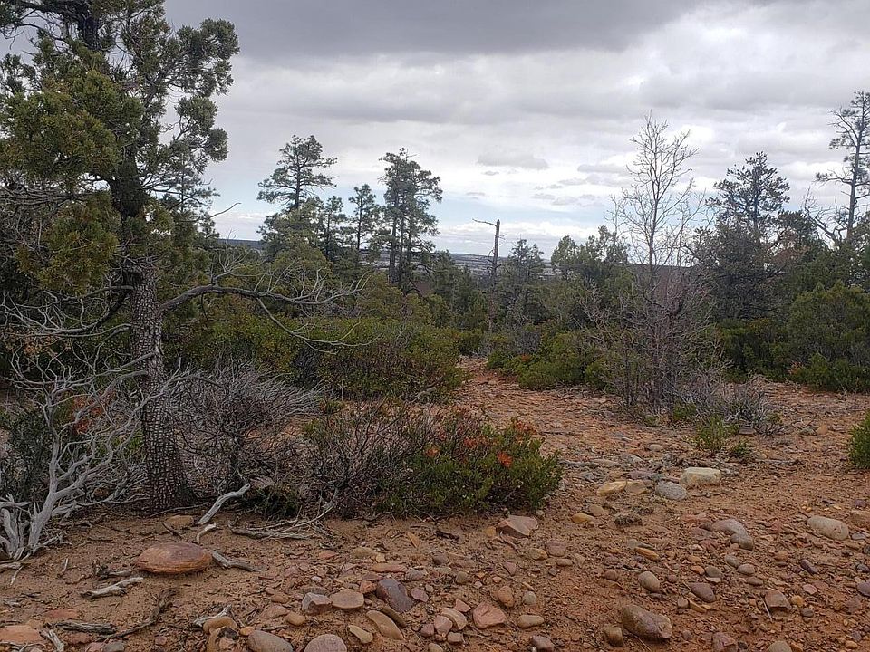 1st image of 1835 S Twin Peak Trl