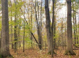 9473 E Broomfield Rd, Mount Pleasant, MI 48858