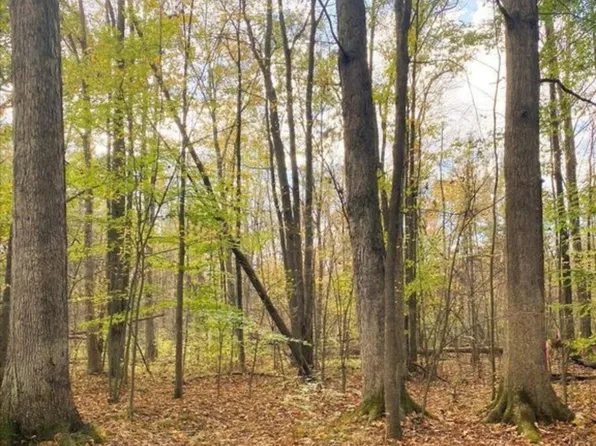 9473 E Broomfield Rd, Mount Pleasant, MI 48858