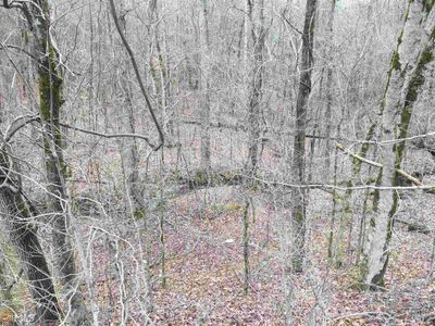 0 Highway 85 S, Fayetteville, GA, 30215