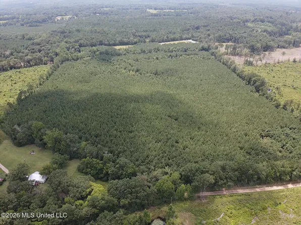 County Road 131b, Morton, MS 39117