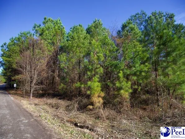 Goose Pond Ln Tract 2, Florence, SC 29506