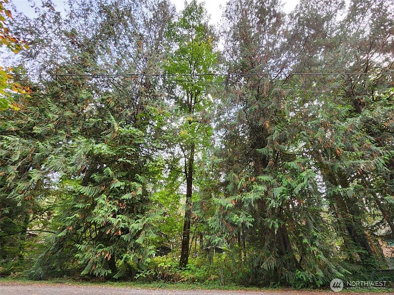 2nd image of 19504 River Place