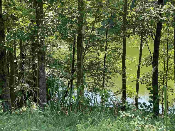 181 Arborwood Ln #181, Savannah, TN 38372