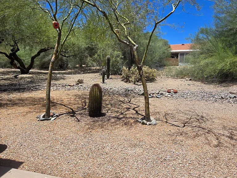 14406 N Galatea Dr #B — Photo 24