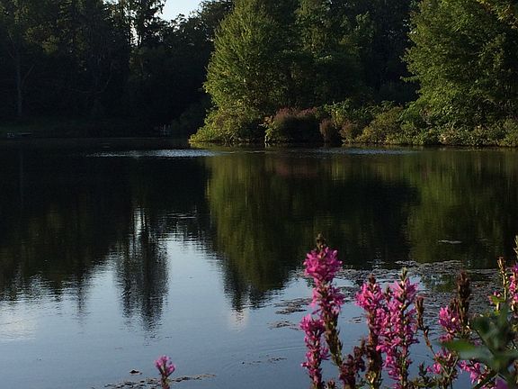 2nd image of 7 S Shore Dr