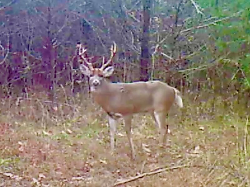 Tom Dick Hill Rd LOT WP001, Stonefort, IL 62987 Zillow