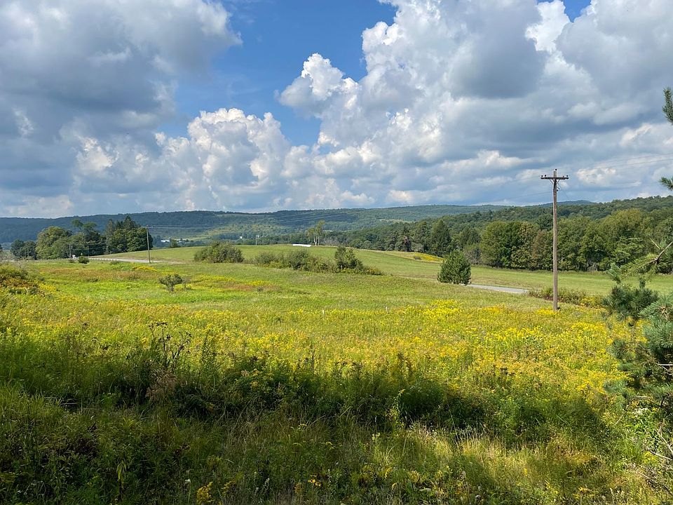 0 County Highway 14, Mount Vision, NY 13810 MLS 136287 Zillow