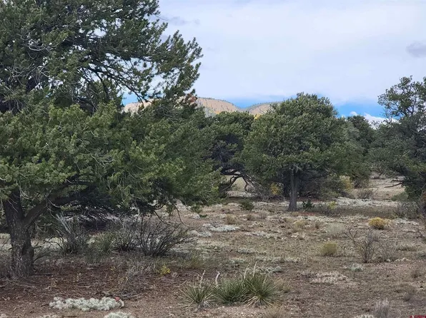 139 Explorer Way, South Fork, CO 81154