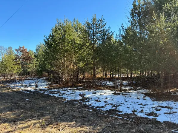 PARCEL Arquilla Crk #C, Harrietta, MI 49638