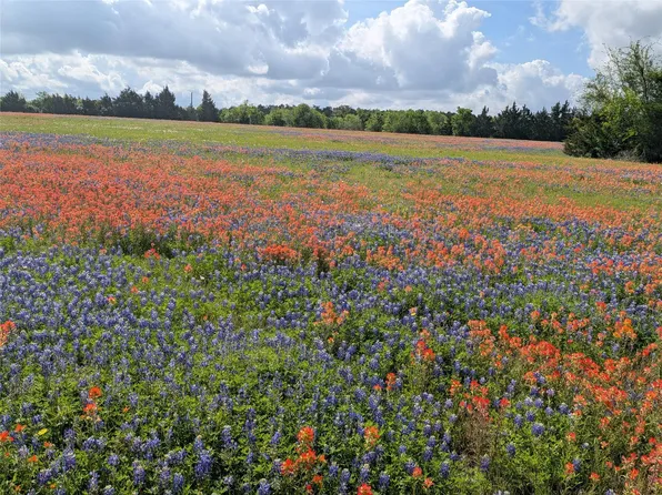 31 Fm 2562 Rd #218, Anderson, TX 77830