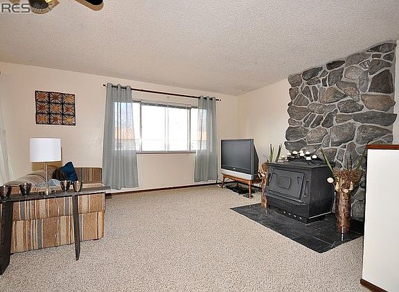 Wood Burning Stove