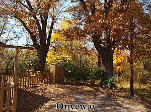 Driveway_02192013
