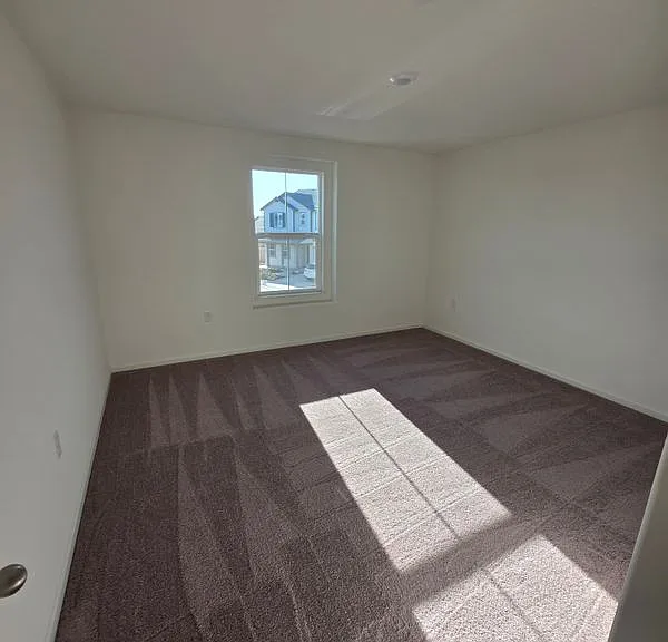 2386 Satin Leaf Ct — Photo 16