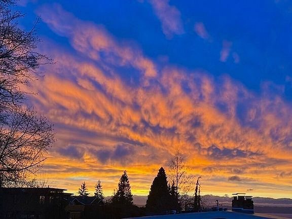 2nd image of 816 Walnut Street