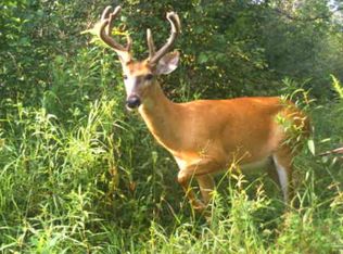 40 Acres County Rd E, Merrill, WI 54452