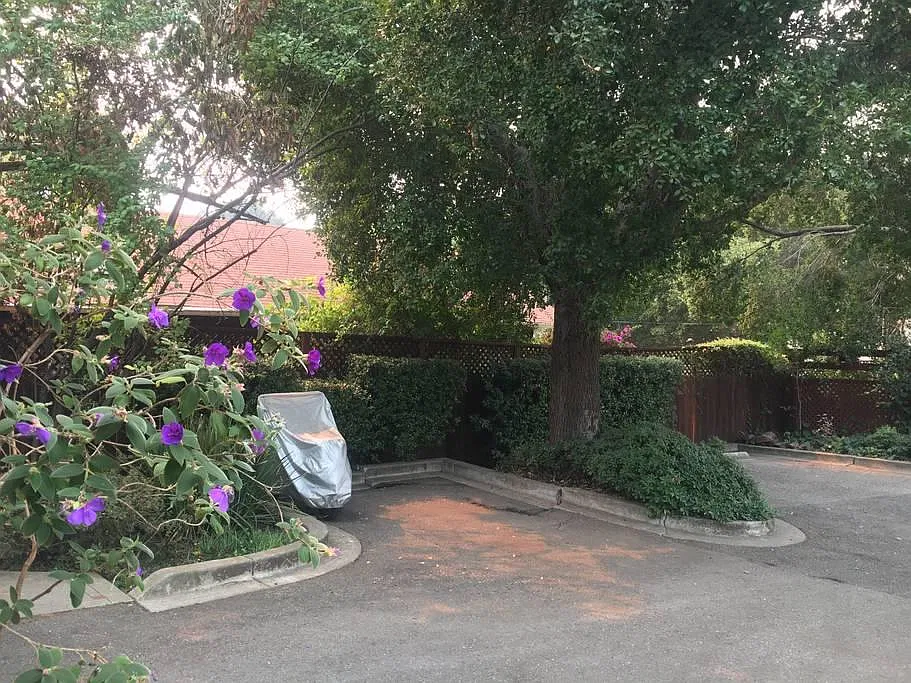 2 bed, 1125 sqft, $4,200 — Photo 3