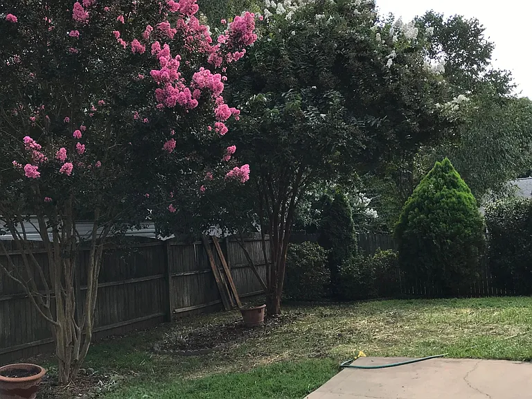 Fenced backyard