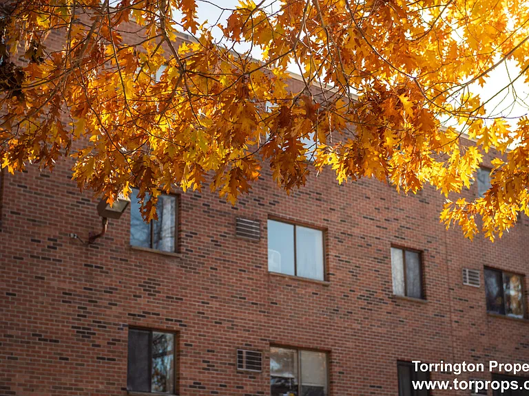 253 Hyde Park Ave #45 — Photo 10