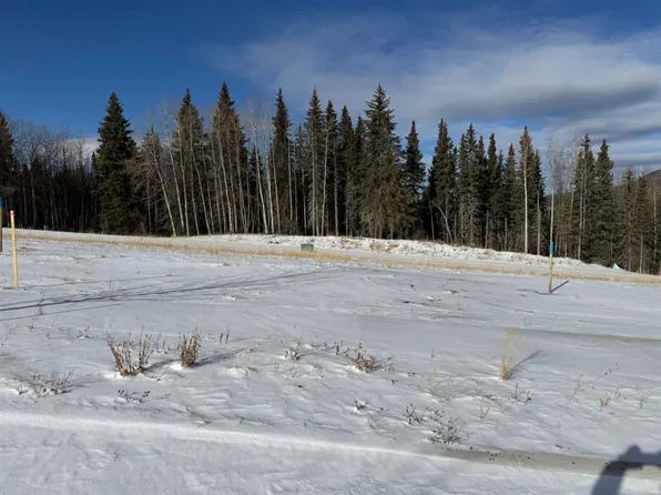 456 Lily Ave, Nordegg, AB T0M 2H0