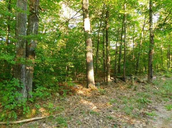 0 Tumbledown Dick Road, Brookfield, NH 03872
