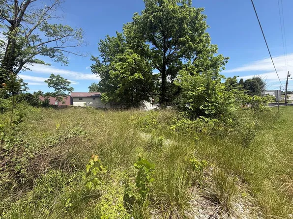 19 E 2nd St, Blue Ridge, GA 30513