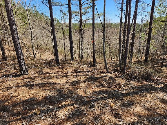 3rd image of 231 Pioneer Dr Lot 262